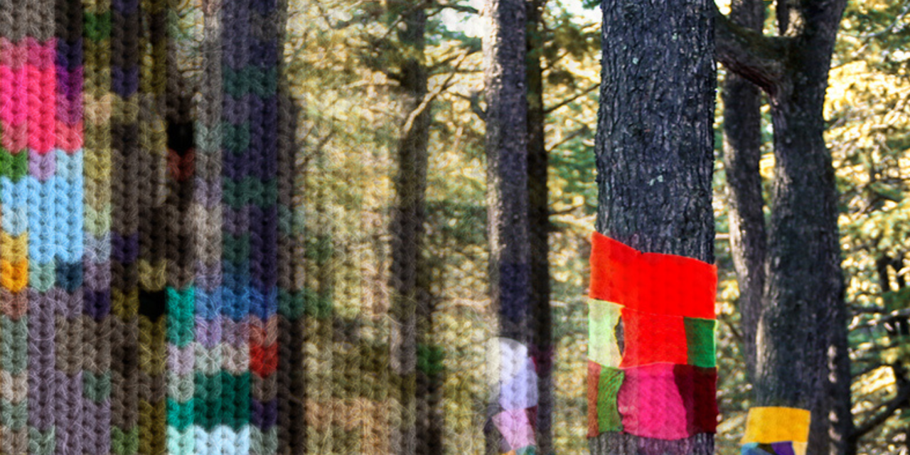 Winter in The Woods: The Incredible Local Effort Wrapping the Arboretum