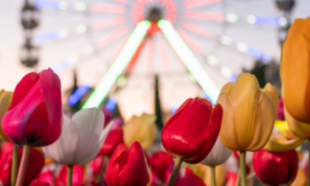 Floriade’s ‘Feast of Flowers’: More Than Just Blooms