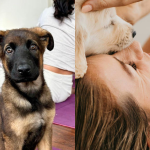 Puppy Yoga has Arrived in Phillip and Narrabundah
